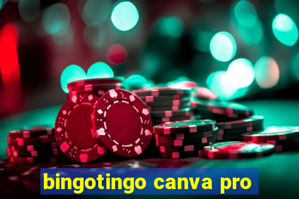 bingotingo canva pro